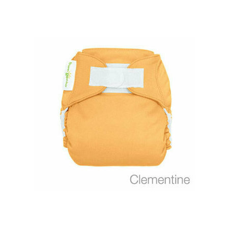 Bumgenius One Size V4
