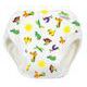 Culotte d'apprentissage